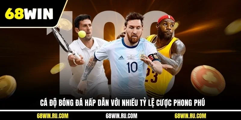 Cá độ bóng đá hấp dẫn với nhiều tỷ lệ cược phong phú