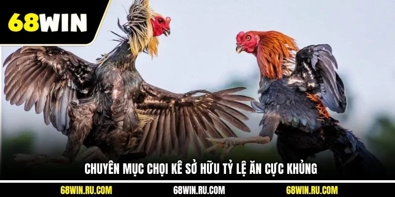 Chuyên mục chọi kê sở hữu tỷ lệ ăn cực khủng